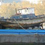DSCN5400