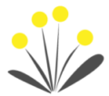 blume_icon_1